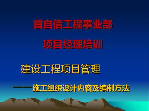 建设工程项目管理 系统化方法与实践要点